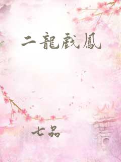 二龙戏凤