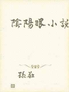 阴阳眼小说