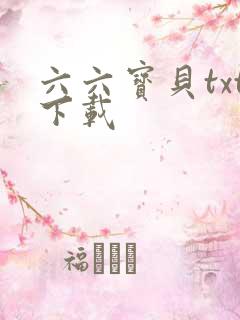 六六宝贝txt下载
