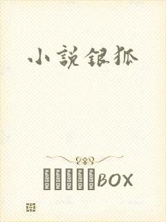 小说银狐