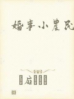 婚事小农民