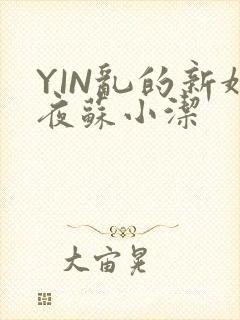 YIN乱的新婚夜苏小洁