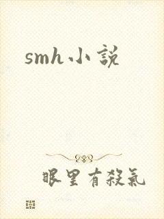 smh小说