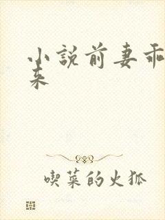 小说前妻乖乖回来