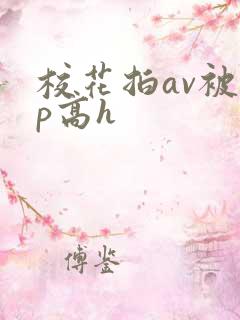 校花拍av被np高h