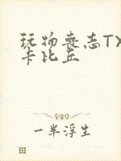 玩物丧志TXT卡比丘