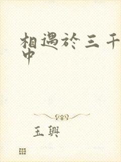相遇于三千肉文中