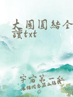 大团圆结全文阅读txt
