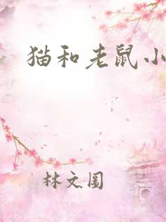 猫和老鼠小说