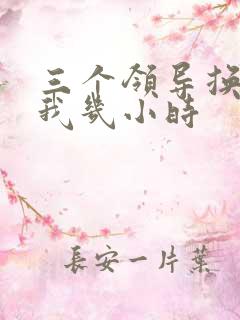 三个领导换着躁我几小时