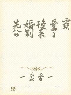 先婚后爱霸道老公别来了