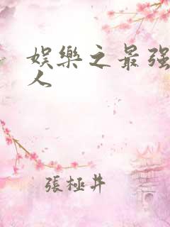 娱乐之最强经纪人