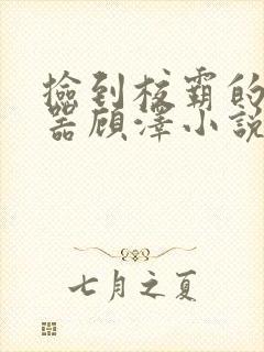 捡到校霸的遥控器顾泽小说免费阅读