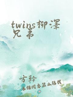 twins柳泽兄弟