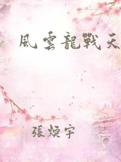 风云龙战天下