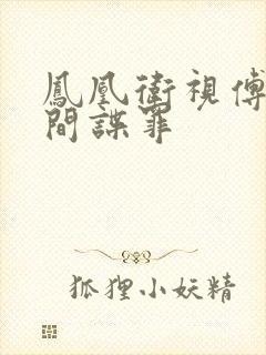 凤凰卫视傅晓甜间谍罪