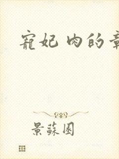 宠妃 肉的章节