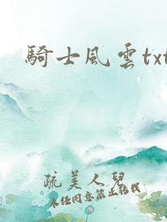 骑士风云txt