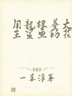 用龙根养大的公主鲨鱼的花