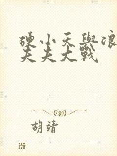 硬小天与浪小辉夫夫大战