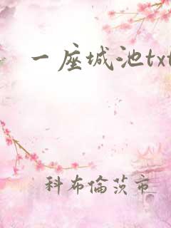 一座城池txt