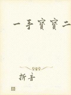 一手宝宝二手妻