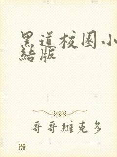 黑道校园小说完结版