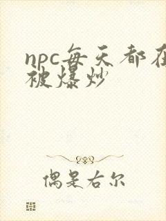 npc每天都在被爆炒