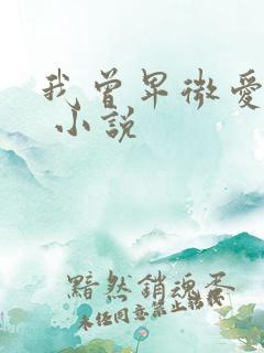 我曾卑微爱过你 小说