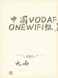 中国VODAFONEWIFI粗暴APP