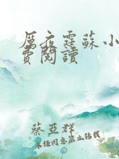 厉夜霆苏小汐免费阅读