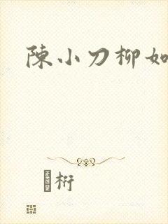 陈小刀柳如意