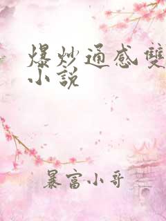 爆炒通感双胞胎小说