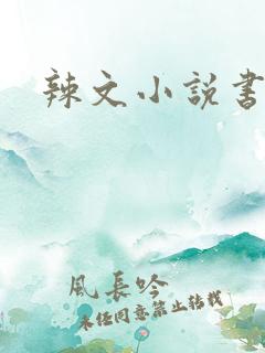 辣文小说书包网