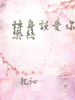 转身说爱你 白乐丝