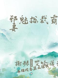 邪魅总裁霸占新妻