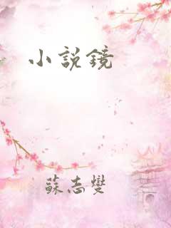 小说镜