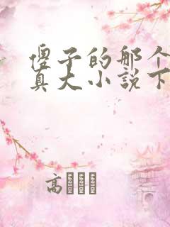 傻子的那个东西真大小说下载