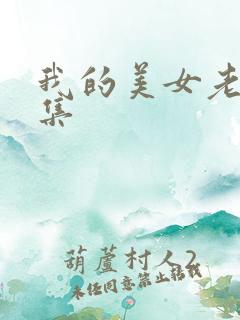 我的美女老总续集