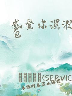 感觉你湿润我书包