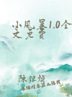 小风暴1.0全文免费