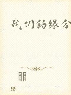 我们的缘分小说