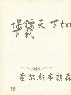 保镖天下txt下载