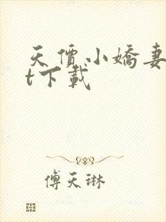 天价小娇妻txt下载