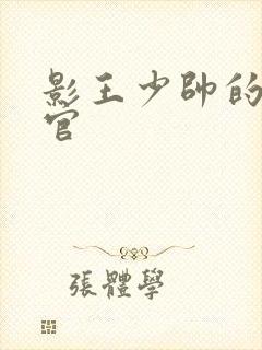 影王少帅的女长官