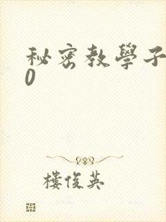 秘密教学子豪40