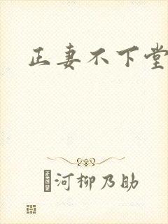 正妻不下堂