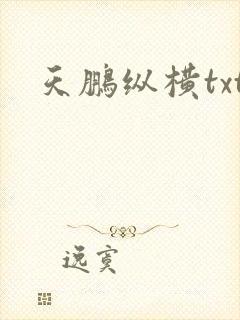 天鹏纵横txt