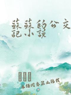 苏苏的公交车日记小说