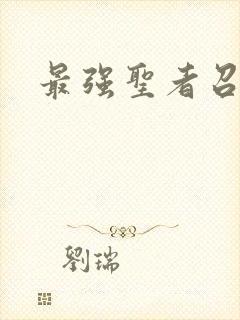 最强圣者召唤